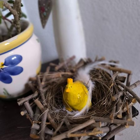 Ferienwohnung Spitzmandl إنسبروك المظهر الخارجي الصورة