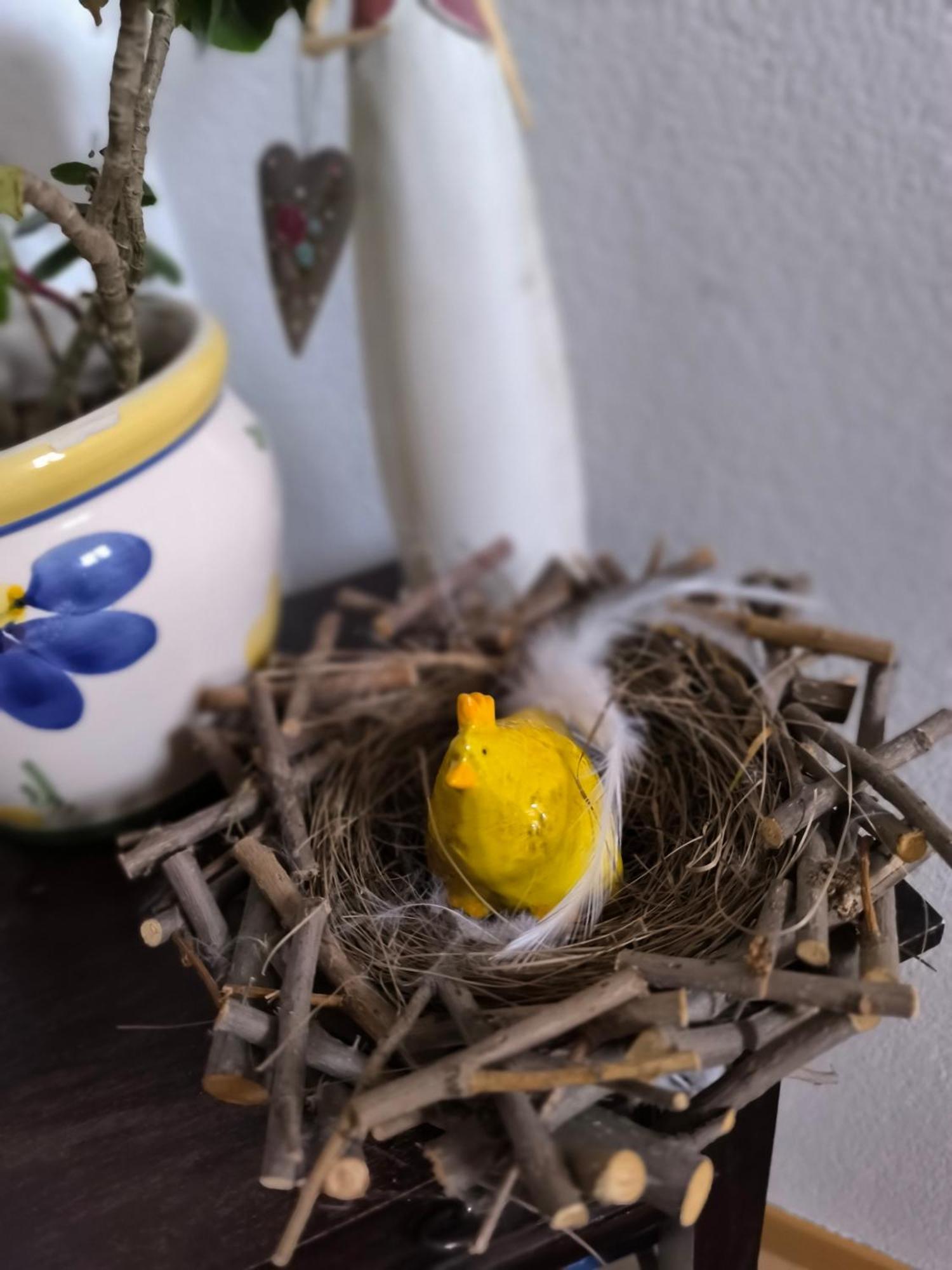 Ferienwohnung Spitzmandl إنسبروك المظهر الخارجي الصورة